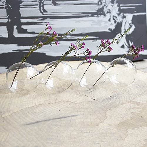 Caterpillar, Large Clear Glass Bud Vase 13" Long 4" Wide 3.5” Tall for