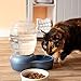 Petmate Replendish Gravity Waterer with Microban Cat and Dog Water Dispenser 4 Sizesthumb 1
