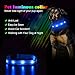 Pumila LED Dog Collar – Rechargeable Dog Collars, Flashing Light Collar for Small, Medium, Large Dogs, Basic Dog Collarsthumb 1