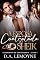 Livro A Esposa Contratada do Sheik (Casamentos de Conveniência Livro 1)