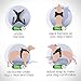 No Pull Dog Harness Reflective Adjustable SHINE HAI Dog Safety Vest Harness With Handle For Pets Dogs Walking Training Outdoor Easy Control