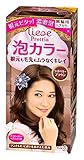 KAO Prettia Bubble Hair Color, Raspberry Brown