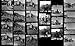 Hollywood Frame by Frame: The Unseen Silver Screen in Contact Sheets, 1951-1997
