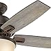 Hunter Donegan Indoor Ceiling Fan with LED Light and Pull Chain Control, 44