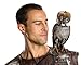 Clash Of The Titans Movie Costume Accessory, Bubo Owl, 9-Inches Tall
