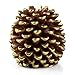 Luminara LED Flameless Candle, Flameless Real Pine Cone LED Candles for Home/Party/Halloween/Christmas/Wedding Decor with Timer Control, Battery Operated 3