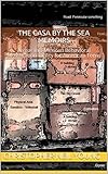 The Casa By The Sea Memoirs: A year in a Mexican Behavioral Modification facility for American Teens by Christopher Neil Young