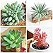 Fake Succulent Plants - Set of 9 Artificial Succulent Plants - Mixed Colors - Fake Plants for Decoration