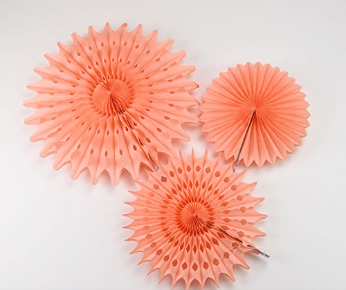 Furuix Mint Baby Shower Decorations Honeycomb Tissue Paper Fan Cream Mint Green Peach for Birthday Decor Wedding Decor Wall Hanging Decoration Mint Green Decor Tissue Pompom Flower Hanging Paper Fans - Thumbnail 4