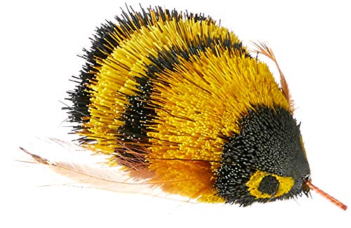 Go Cat Da Bee