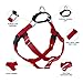2 Hounds Design Freedom No Pull Dog Harness, Adjustable Harness, Easy Walking & Comfortable Control, Fits Small, Medium & Large Dogs, Solid Colors, Made in USA, 1