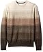 Weatherproof Vintage Men's Shetlen Wool Ombre Crew Sweater
