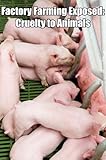 Factory Farming Exposed: Cruelty to Animals