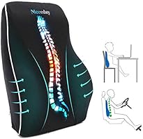 Lumbar Support Pillow for Office Chair Car Lumbar Pillow, Memory Foam Back Cushion with Breathable 3D Mesh Lumbar Support...
