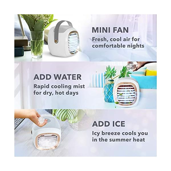 Blaux Portable Ac G2 Manual