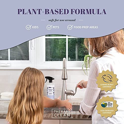 Therapy Stainless Steel Cleaner Kit PlantBased, SolventFree