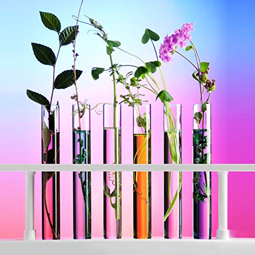 Joyclub 20x150mm Plastic Test Tubes with Cork Stoppers for Scientific Experiments, Halloween, Christmas, Scientific Themed Kids Birthday Party Supplies, Decorate The House, Candy Storage(30 Pack)