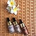 Beauty Glazed 3D Highlighter Liquid Glow Brighten Shimmer Glitter Face Glow Cream Spot Concealer (TAN)