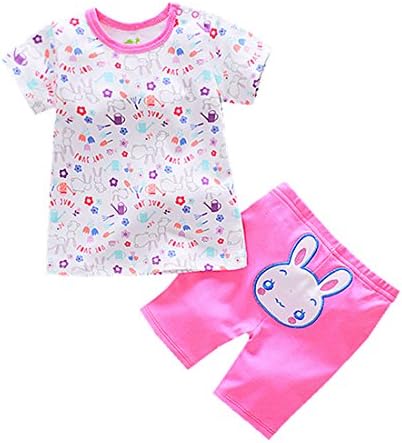Baby Boys Girls Clothing Set Organic Cute Cartoon Prints 6-24M (6M, Bunny)