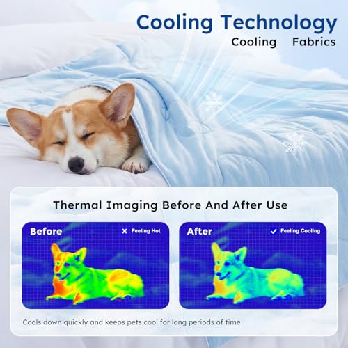 ZOMISIA Cooling Blanket for Dogs, Q-MAX>0.4 Cooling Mat, 127 x 102 cm, Grey | Summer self-cooling, large dogs, washable dog cooling mat, grey cooling blanket, for sofa dog bed, home and on the go
