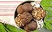 Paleo Baking Company Paleo Spice Cake & Muffin Mix