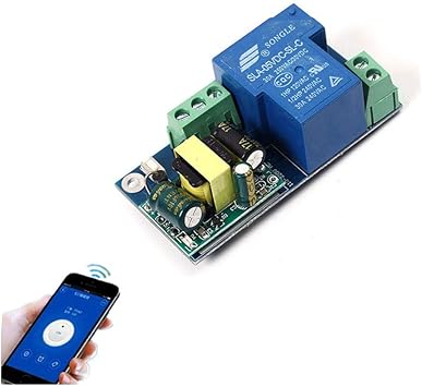 High Power WiFi Relay Switch Module Inching Jog Mode AC 220V Phone Timer Remote Control 6.8x3.3x2.6cm PSA Wireless Smart Home: Amazon.ca: Electronics