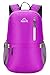 Venture Pal 25L Travel Backpack - Durable Packable Lightweight Small Backpack Women Men (Purple)