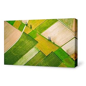 Farm Land View from Sky Painting Artwork for Home Framed
