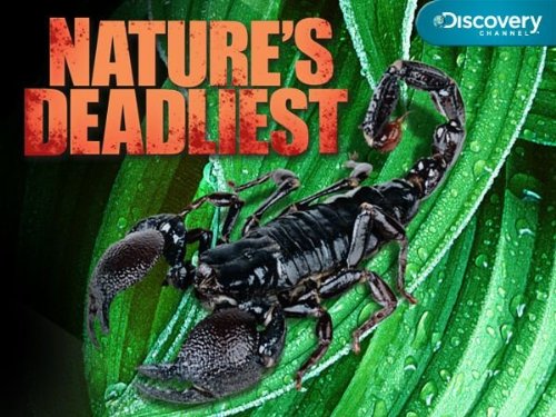 Nature's Deadliest: Season 1