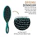 Wet Brush Original Detangler Hair Brush - Green Stained Glass - Exclusive Ultra-soft IntelliFlex Bristles - Glide Through Tangles With Ease For All Hair Types - For Women, Men, Wet And Dry Hair
