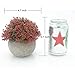 Velener Mini Plastic Artificial Pine Ball Topiary Plant with Pots for Home Decor (Red Clover)