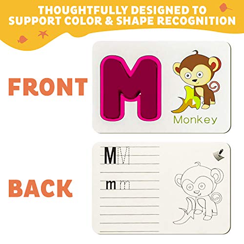 WhizBuilders Numbers and Alphabet flash cards Set ABC Wooden Letters