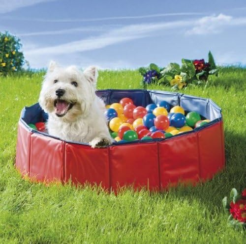 Doggy Pool Ball Pool Dog Toy: Amazon.co 