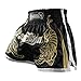 Hayabusa Male Hayabusa Muay Thai Shorts