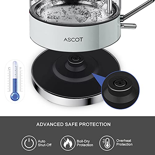 Electric Kettle, ASCOT Electric Tea Kettle 1.6L 1500W Glass Electric