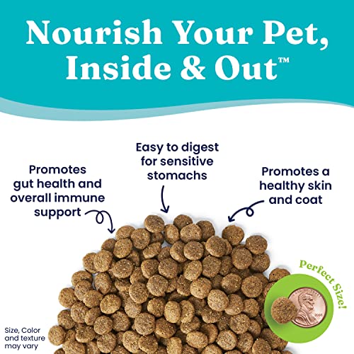 Solid Gold Leaping Waters Dry Dog Food for Sensitive Stomach Grain & Gluten Free with