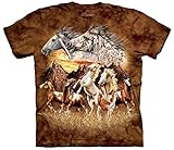 The Mountain Men's Find 15 Horses