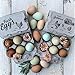 Eggs Not Included- Half Dozen Egg Cartons- 6 Full Size Can Split to 12 Half Size Cartons- Securely Holds 6 or 12 Extra Large Eggs