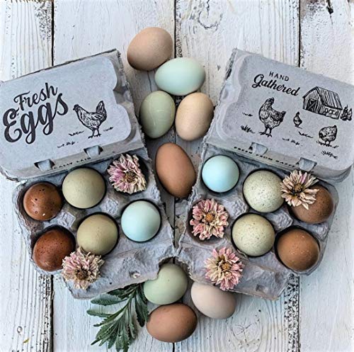 Half Dozen Egg Cartons- 6 Full Dozen Size Can Split to 12 Half Dozen Size Cartons- Securely Holds 6 or 12 Extra Large Eggs