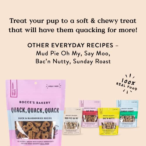 Bocce's Bakery Oven Baked Quack, Quack, Quack Treats for Dogs, WheatFree Everyday Dog Treats