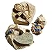 Educational Insights Geosafari Egyptian Dig