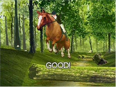 Horse Life Nintendo Ds Artist Not Provided Video Games Amazon Com
