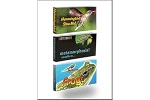 Fliptomania Nature Flipbook 3-Pack: Butterfly, Hummingbird, and Frog Flipbooks