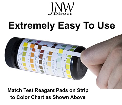 JNW Direct Pool & Spa Test Strips 6 in 1, Best Kit for Accurate Water Quality Testing for Home Swimming Pools,150 Strip MEGA PACK - Thumbnail 2