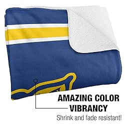 Fort Valley State University Primary Logo Stripes