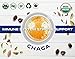 SOLLO Chaga Mushroom Infused Coffee Pods, Boost Focus & Immunity, Memory & Clarity, Medium Roast, Compatible With 2.0 K-Cup Keurig Brewers, Organic by USDA, No After Taste, 24 Ct