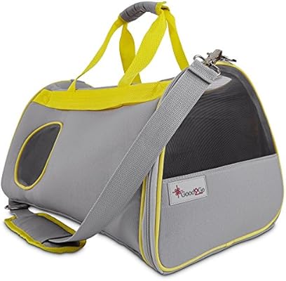 tabby point siamese kittens for sale