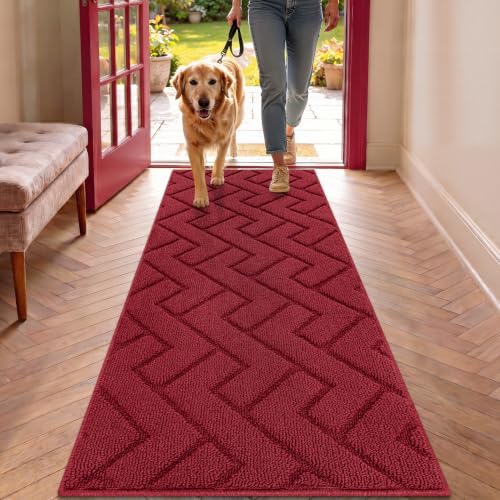Biscpro Türmatte, 50x120 cm Türmatte Innenbereich waschbar, Fußmatte Innenbereich Schmutzfänger rutschfest, saugfähig Eingangsteppich für Eingangsbere