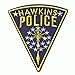 Stranger Things Hawkins Police Badge Netflix Original TV Embroidered Iron On Patch