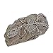 Saim Aquarium Resin Dinosaur Fossil Ornament Decor for Fish Tankthumb 4